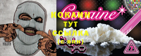 индика Баксан